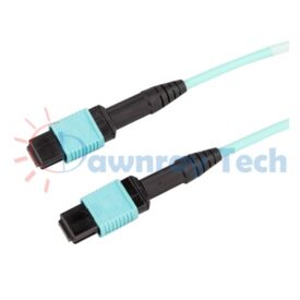1m (3.28ft) MPO 12-fiber Multi Mode Fiber Patch Cord OM4 Female/MPO/UPC-Female/MPO/UPC Type B 50/125μm LSZH 3.0mm